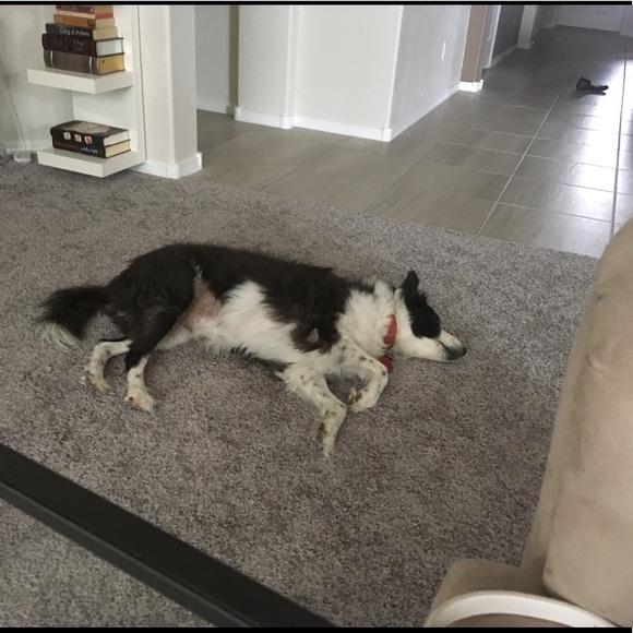 Meet Your Posher - Picture 4 of 4